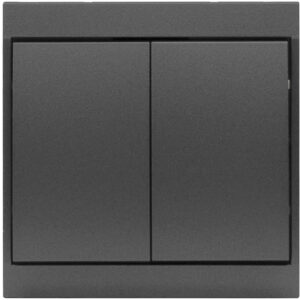 WP-2LS antracyt
